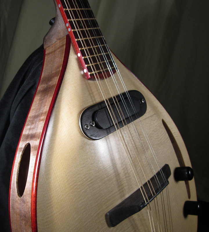 laughlin electric mandolin